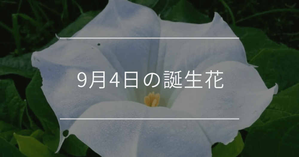 9月4日の誕生花：ダチュラ(チョウセンアサガオ)・ブドウの花言葉など