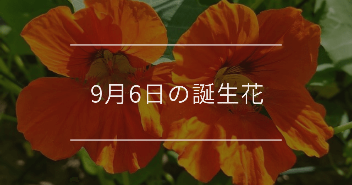 9月6日の誕生花