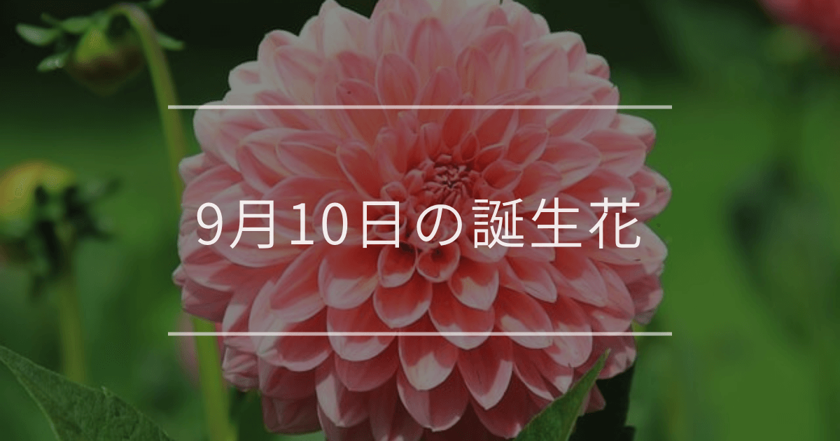 9月10日の誕生花
