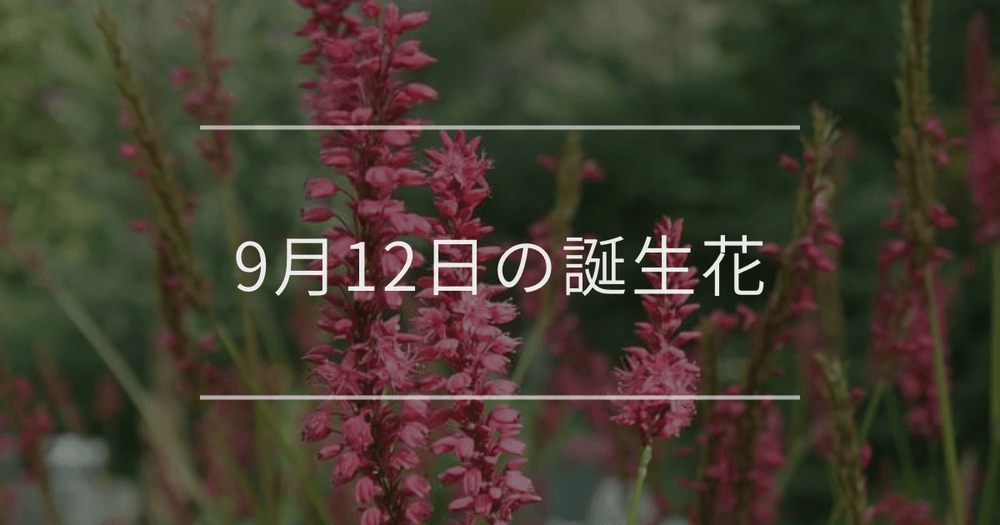 9月12日の誕生花：アイ・クレマチスの花言葉など