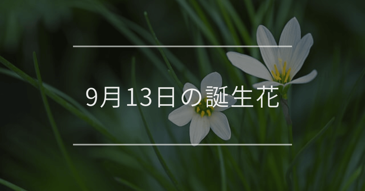 9月13日の誕生花