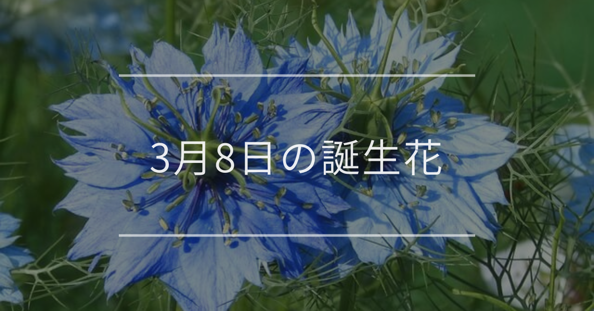3月8日の誕生花