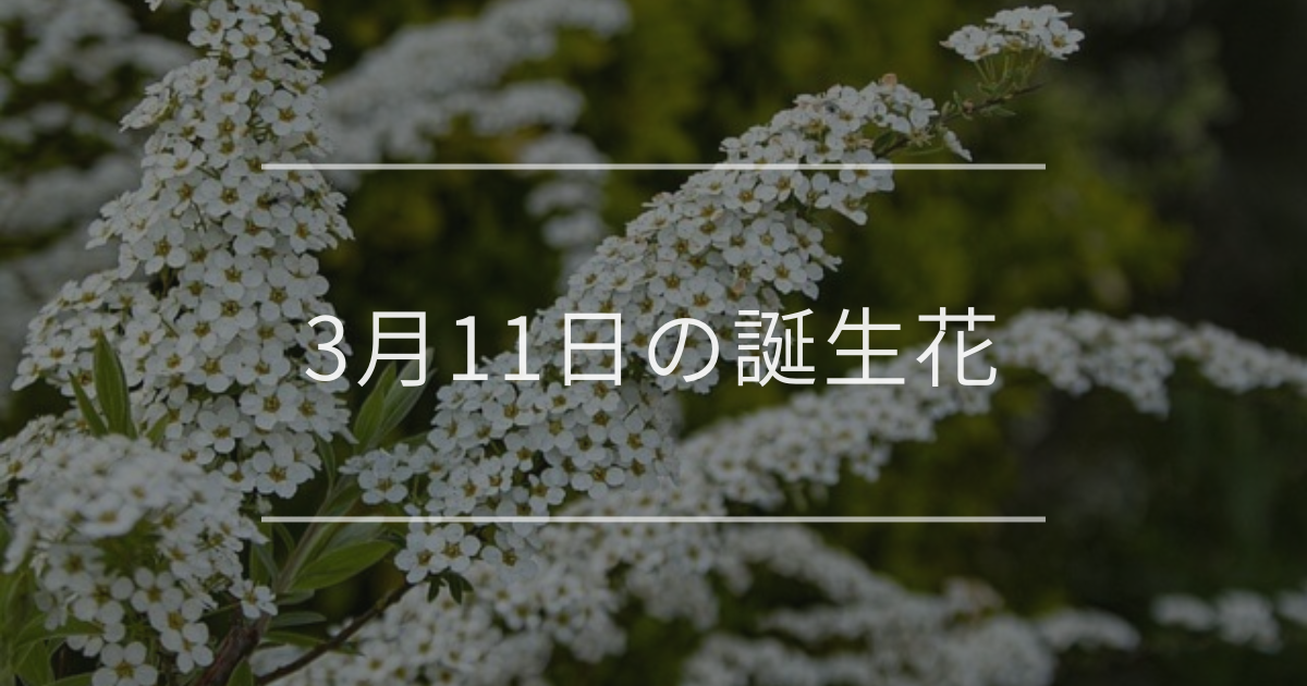 3月11日の誕生花