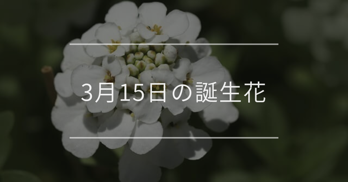 3月15日の誕生花
