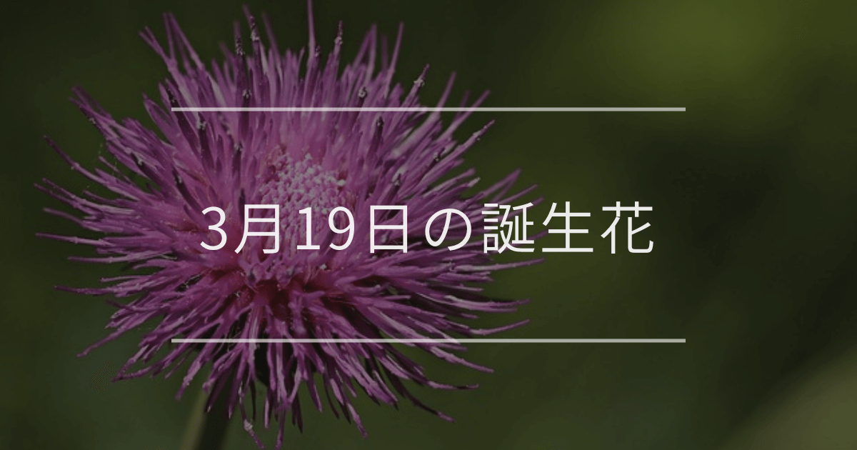 3月19日の誕生花