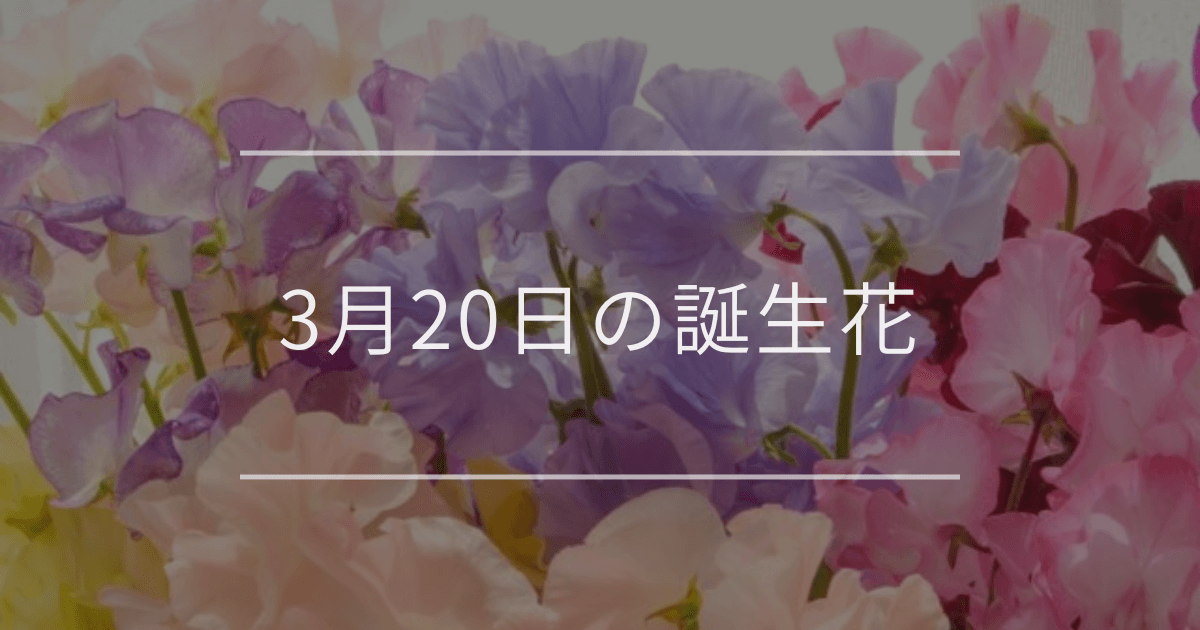 3月20日の誕生花