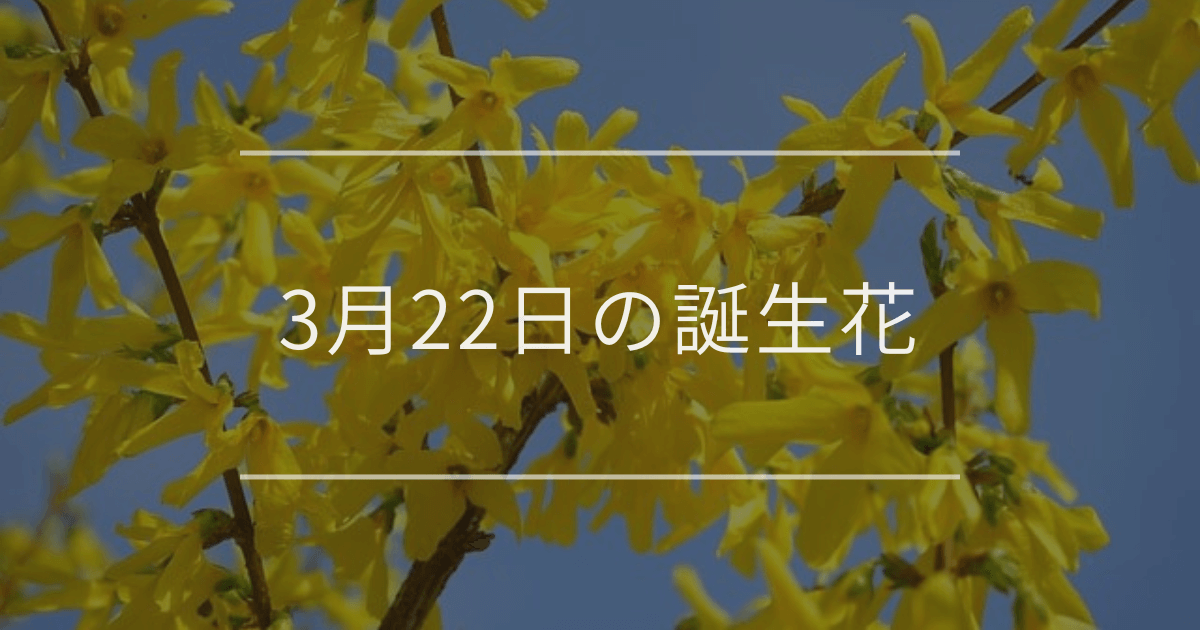 3月22日の誕生花