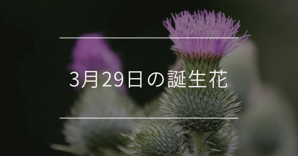 3月29日の誕生花