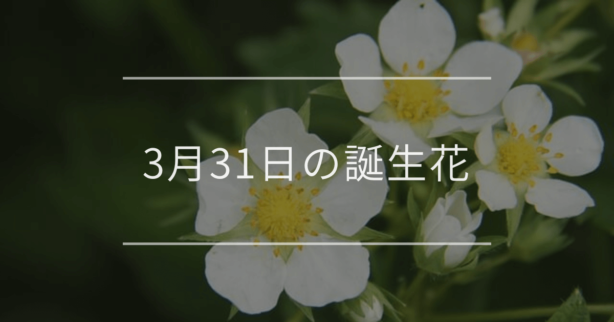3月31日の誕生花
