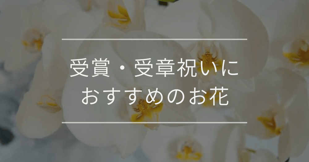 受賞・受章祝いにおすすめのお花｜相場と注意点について