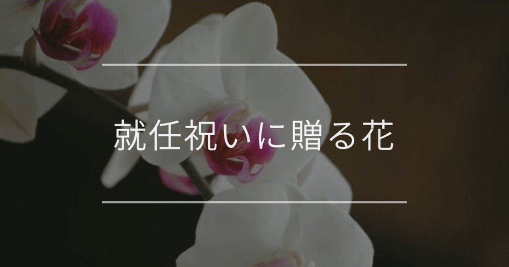 就任祝い（社長就任祝い）に贈る花｜相場とマナーについて
