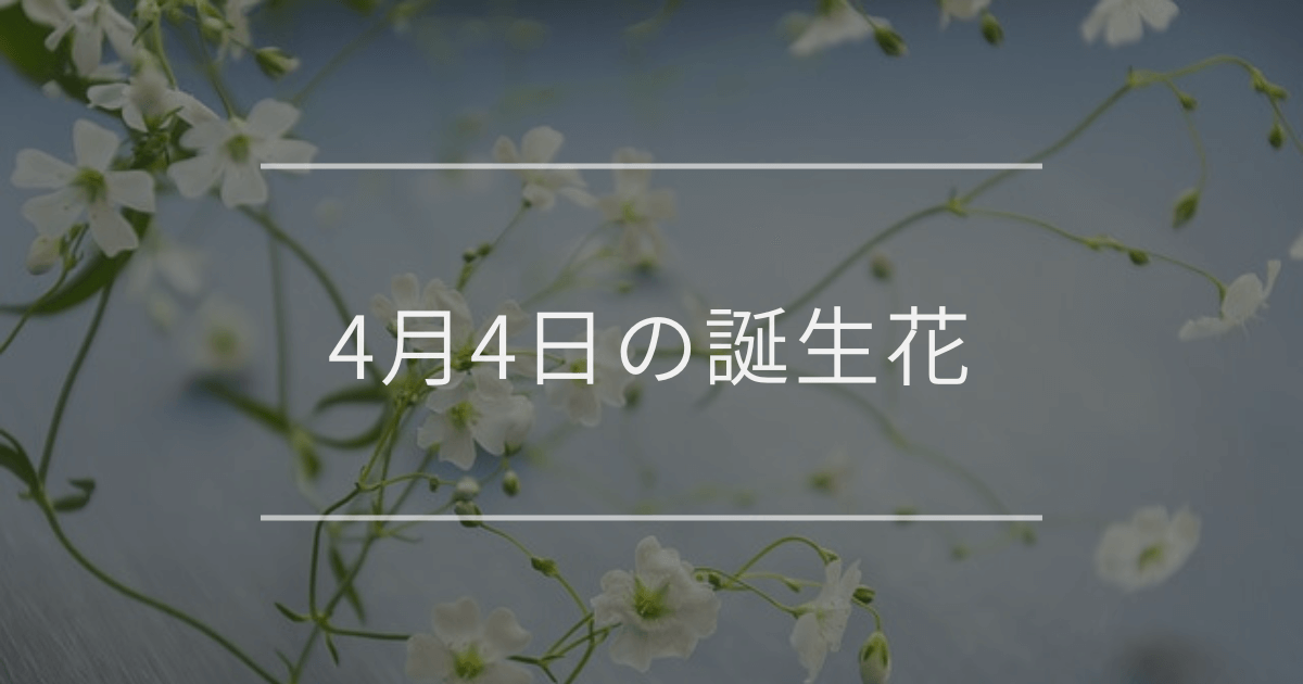 4月4日の誕生花