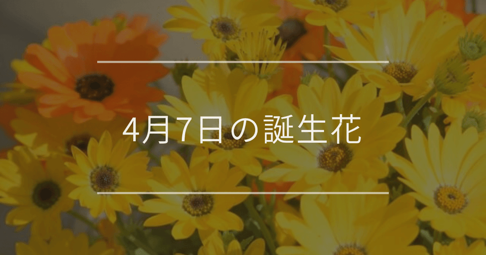 4月7日の誕生花：ディモルフォセカ・クロッカスの花言葉など