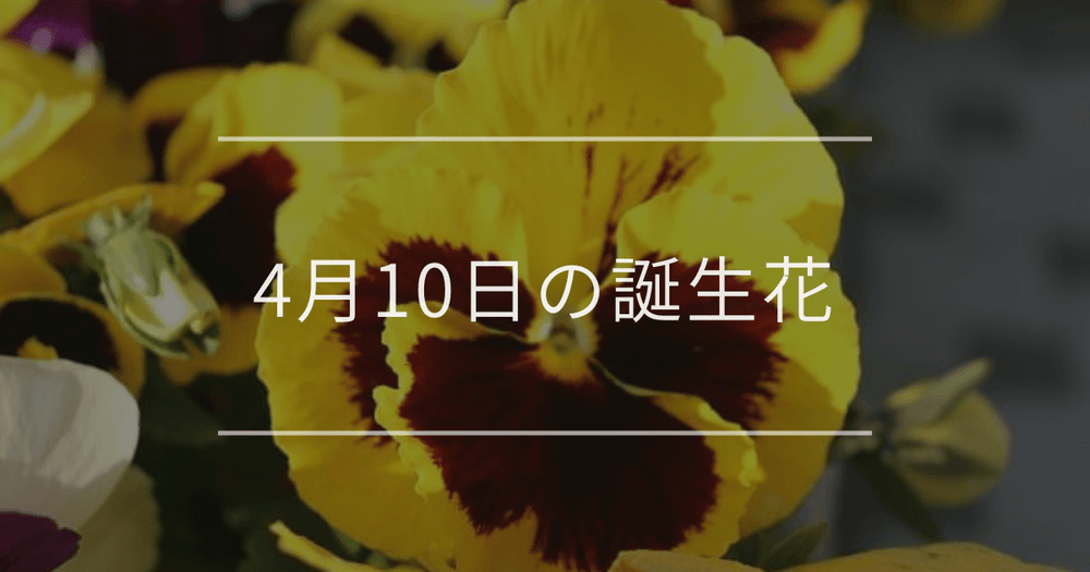 4月10日の誕生花：パンジー・リナリアの花言葉など