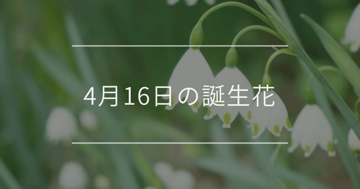 4月16日の誕生花