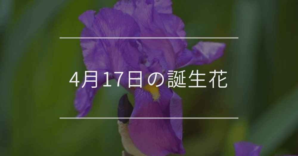 4月17日の誕生花：アイリス・ポトスの花言葉など