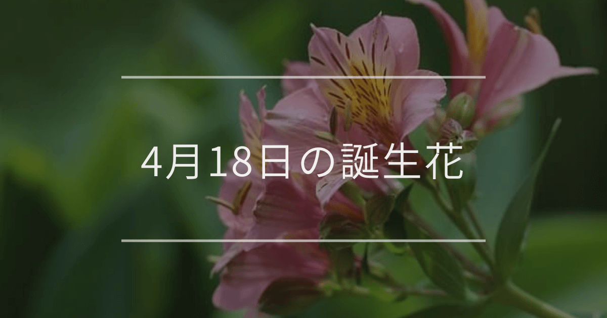 4月18日の誕生花