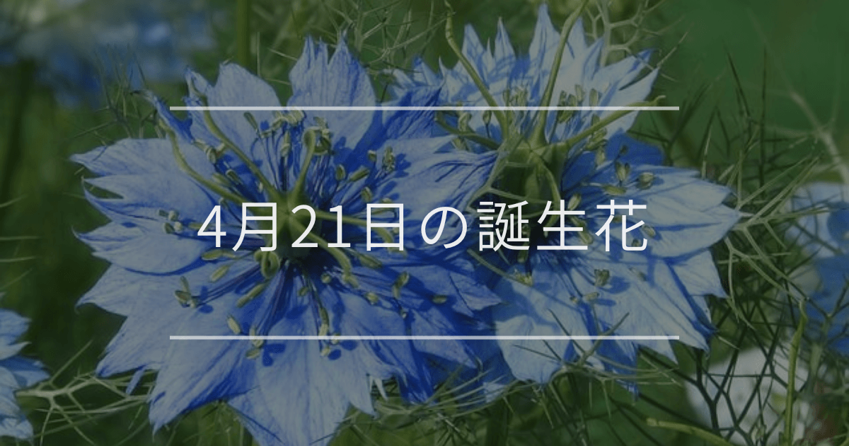 4月21日の誕生花