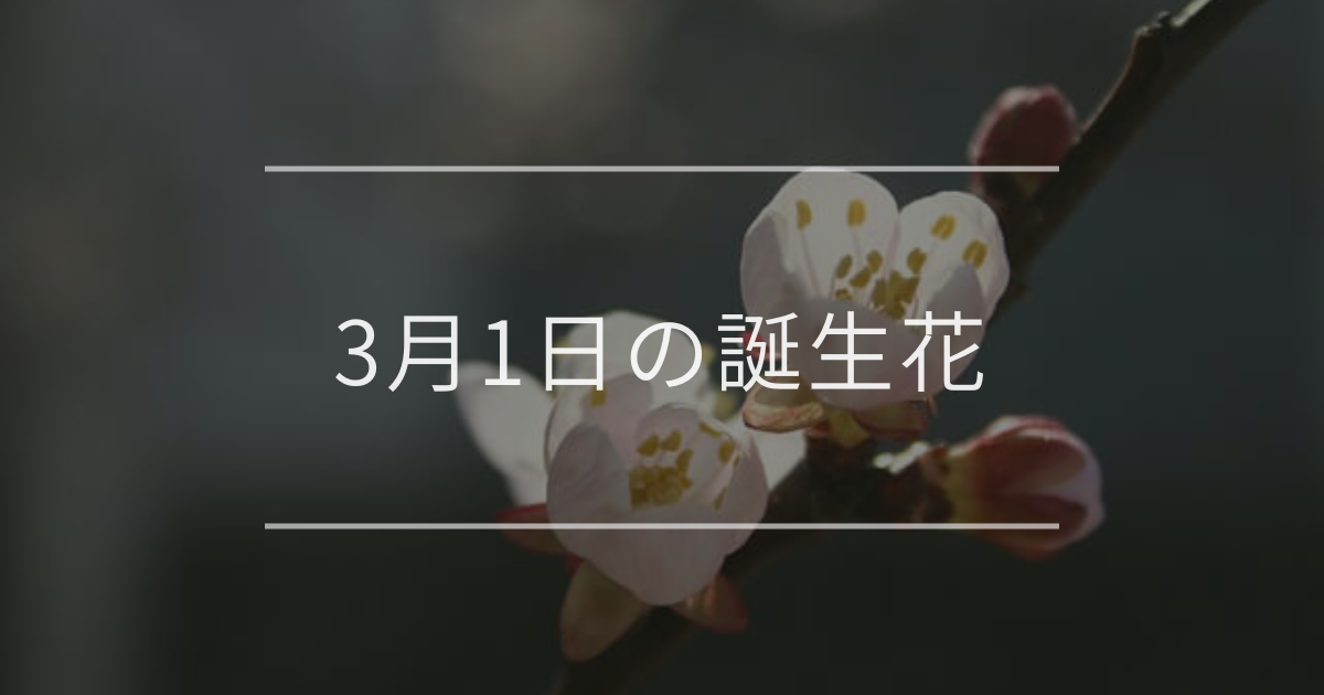 3月1日の誕生花