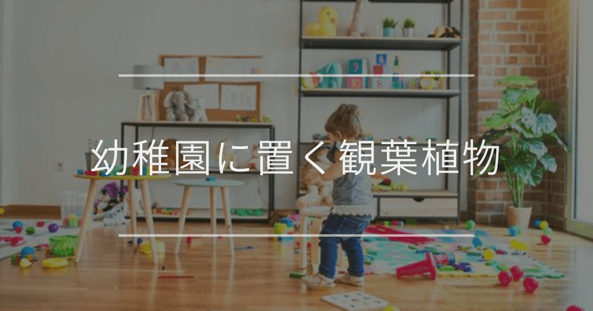 幼稚園に置く観葉植物