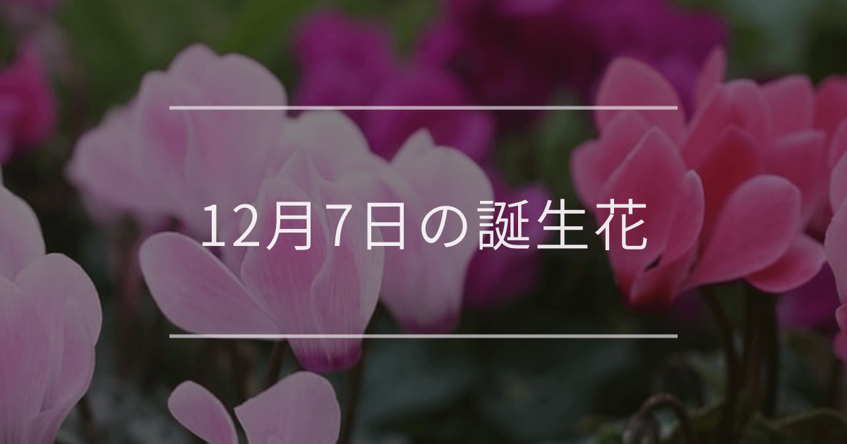 12月7日の誕生花