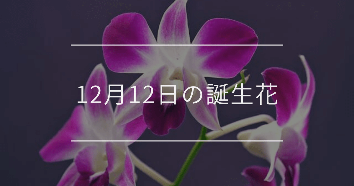 12月12日の誕生花