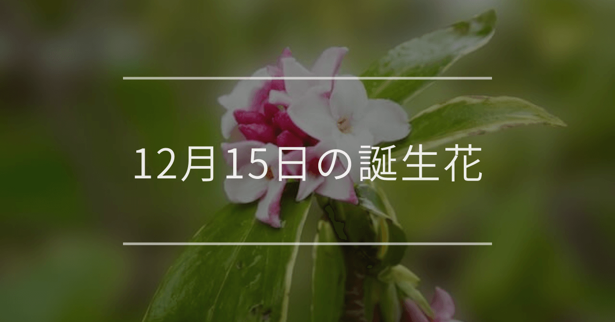 12月15日の誕生花