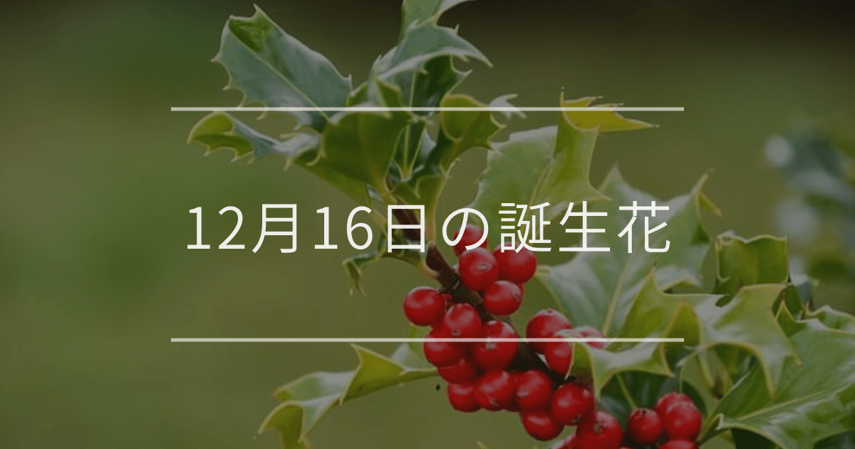 12月16日の誕生花