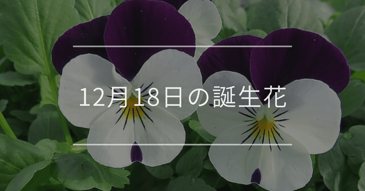 12月18日の誕生花