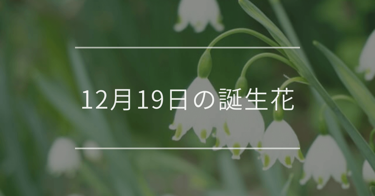 12月19日の誕生花