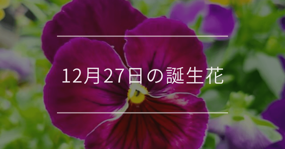 12月27日の誕生花