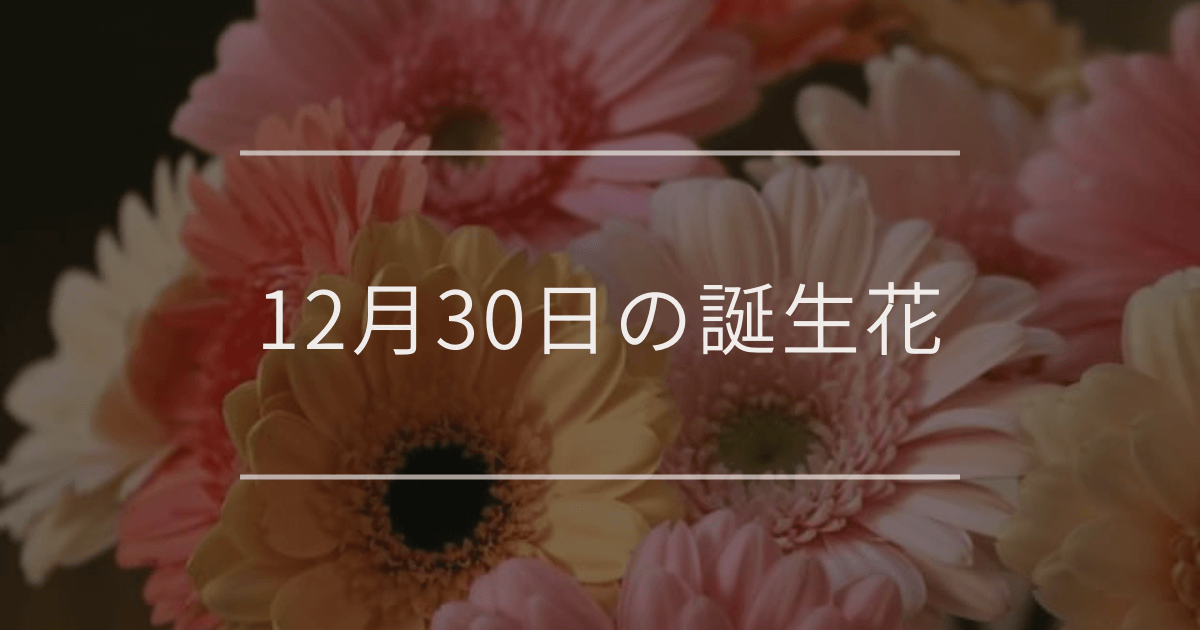 12月30日の誕生花
