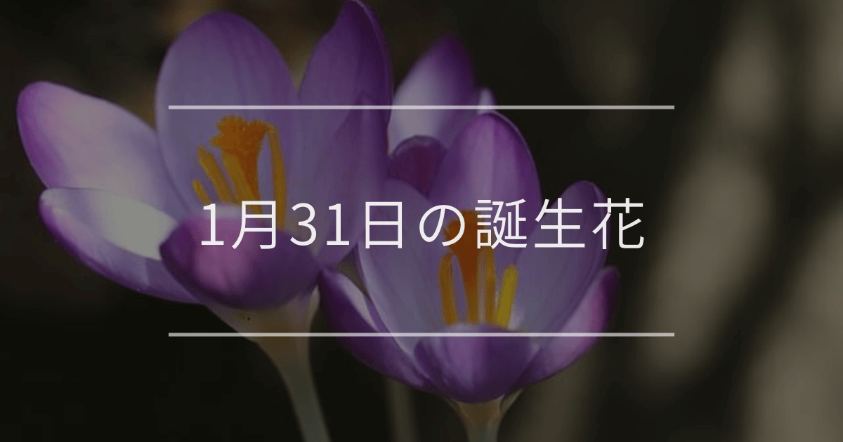 1月31日の誕生花
