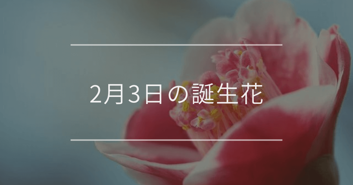 2月3日の誕生花