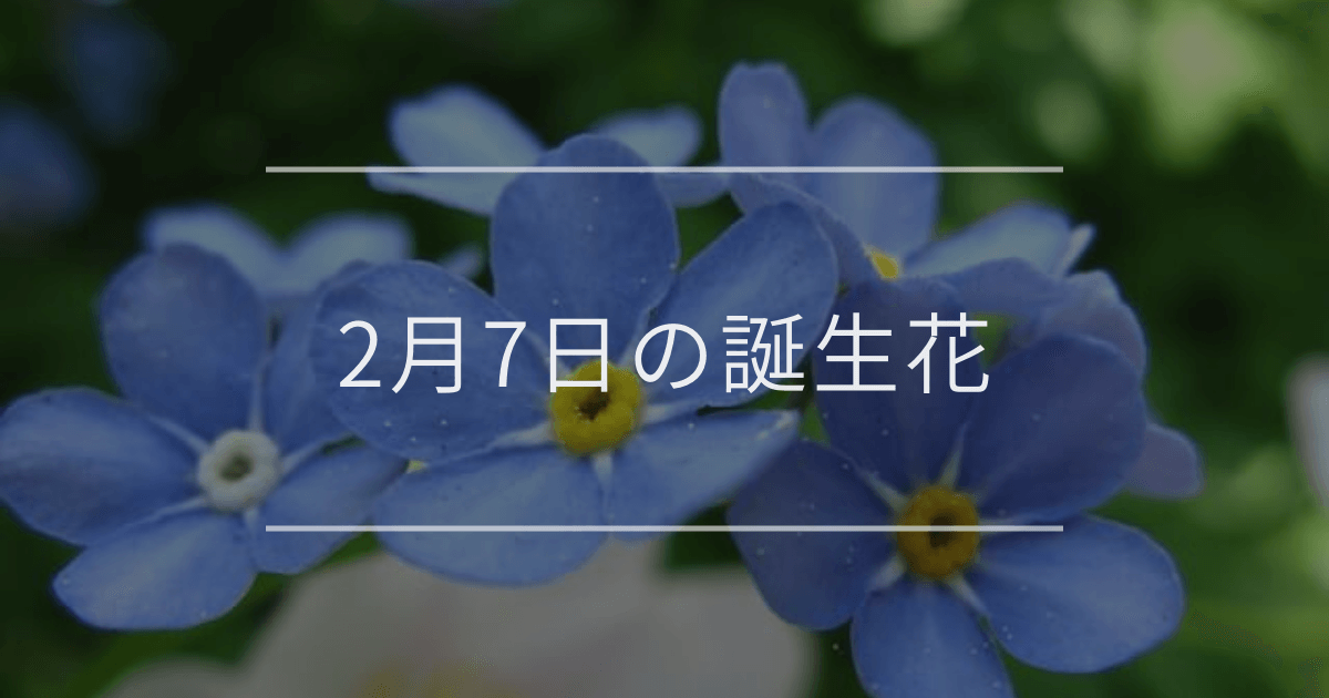 2月7日の誕生花