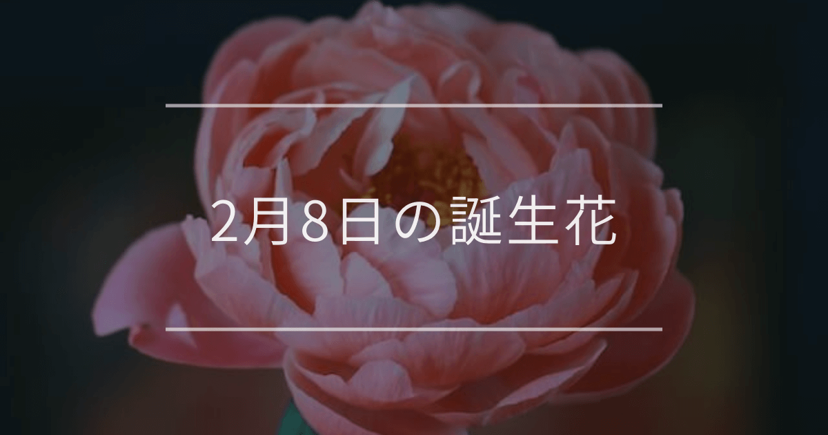 2月8日の誕生花