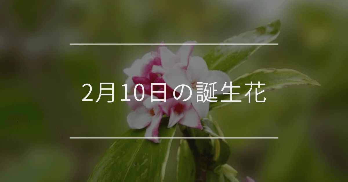 2月10日の誕生花