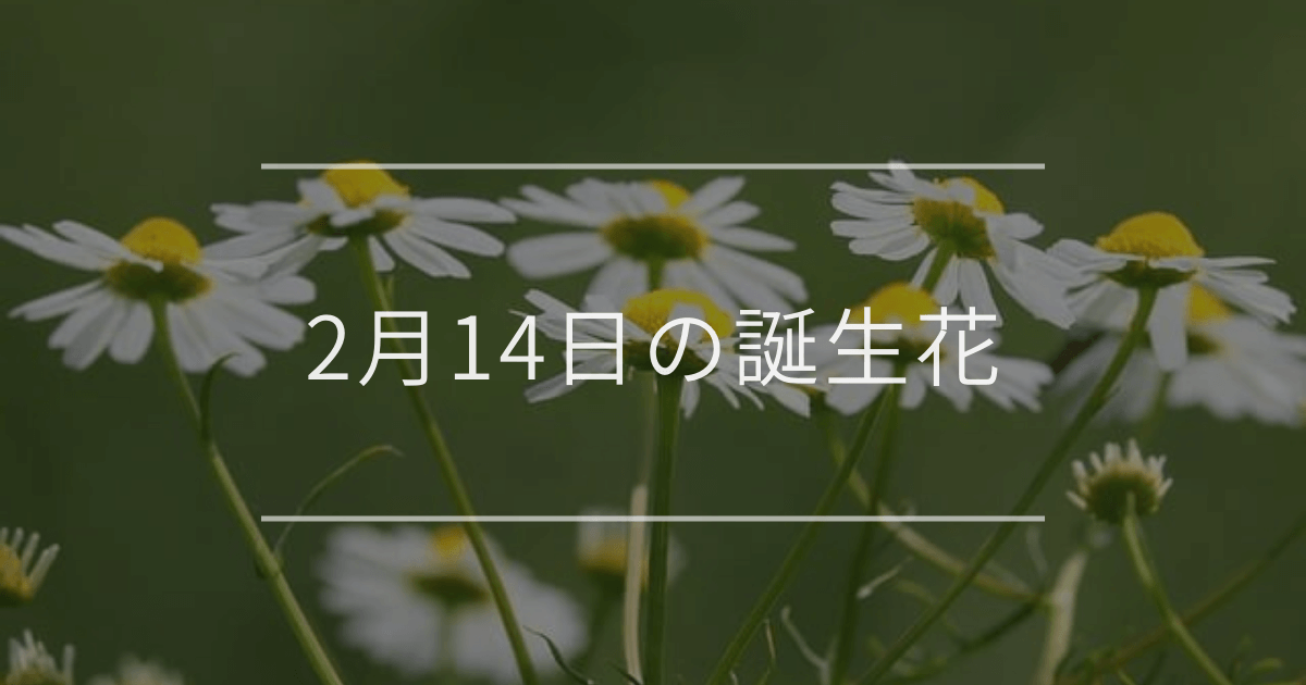 2月14日の誕生花