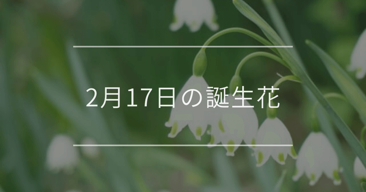 2月17日の誕生花