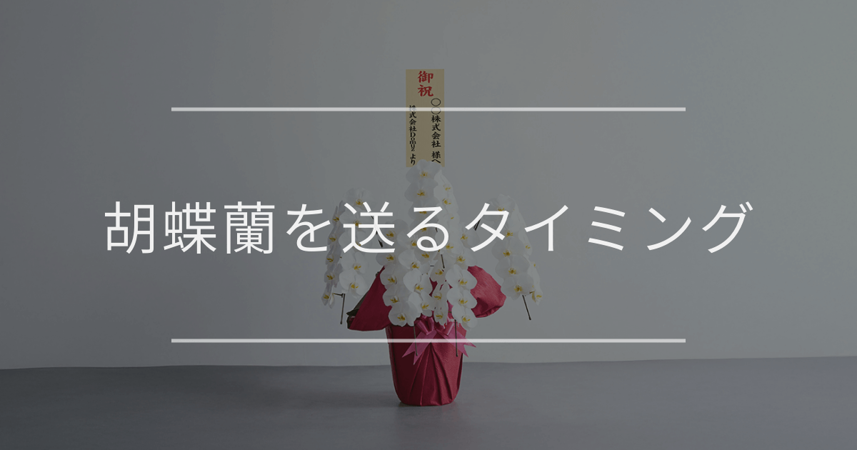 胡蝶蘭を贈るタイミング