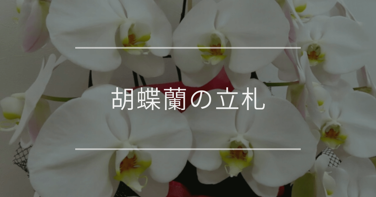 胡蝶蘭の立札
