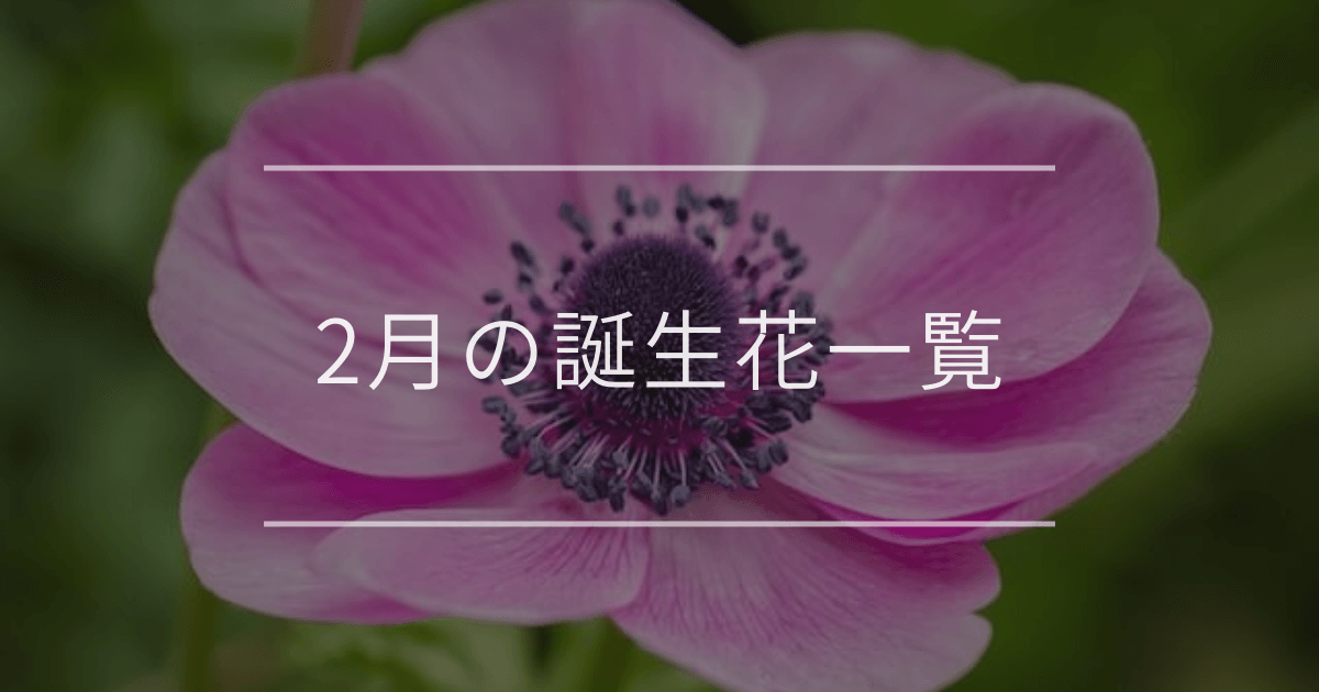 2月の誕生花一覧