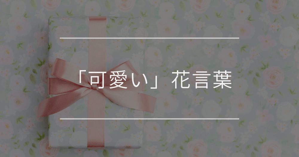 「可愛い」花言葉｜プレゼント向きのお花や、女の子の名前にも可愛いお花と花言葉