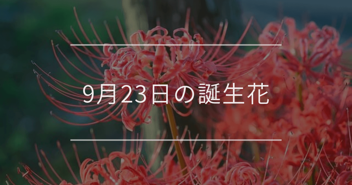 9月23日の誕生花