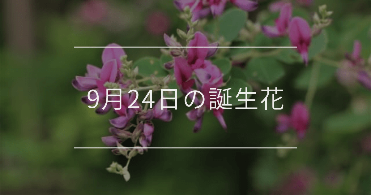 9月24日の誕生花