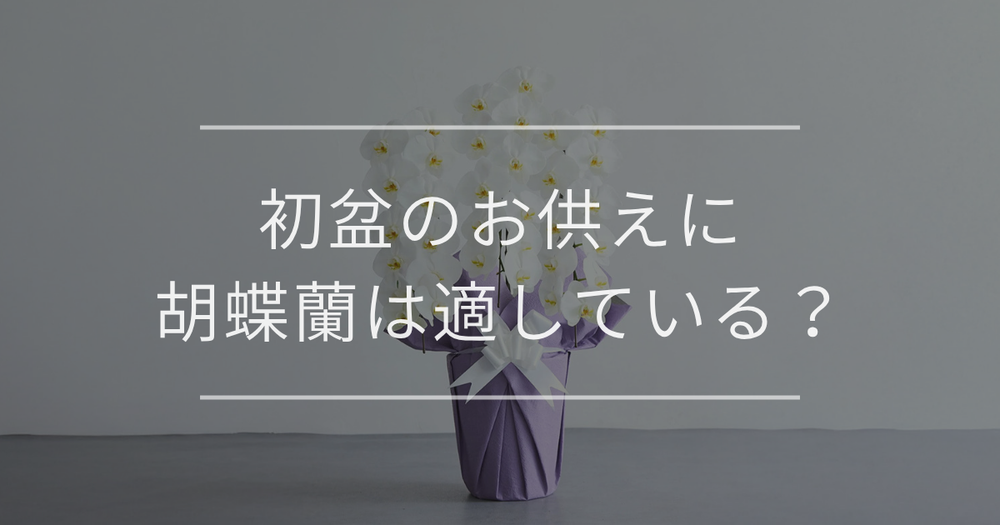 初盆のお供えに胡蝶蘭は適している？贈る際のマナー・選び方を解説