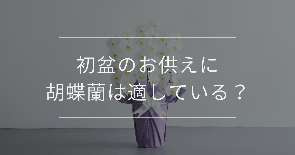胡蝶蘭
