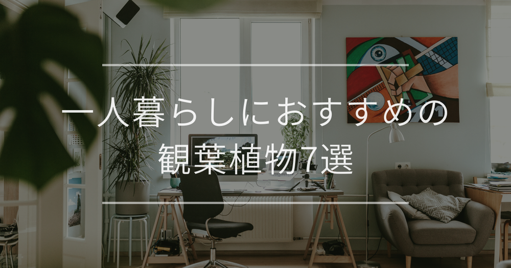 【お世話がカンタン】一人暮らしにおすすめの観葉植物12選｜レイアウトや選び方ガイド