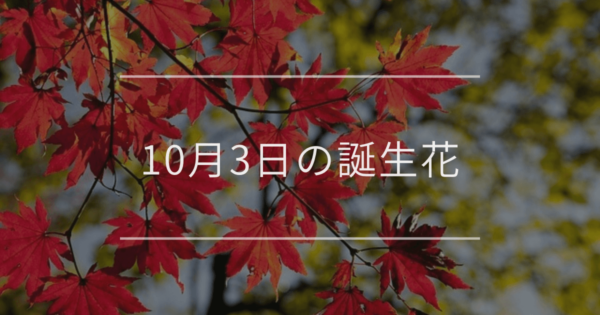 10月3日の誕生花