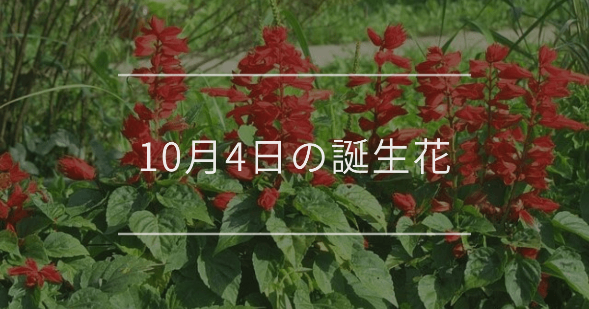 10月4日の誕生花